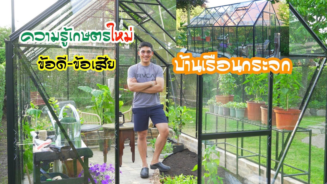 ปลูกผักไทยบ้านเฮาในสวนเรือนกระจก มีข้อดี-ข้อเสียอะไรบ้าง ปลูกผักอะไรได้บ้าง