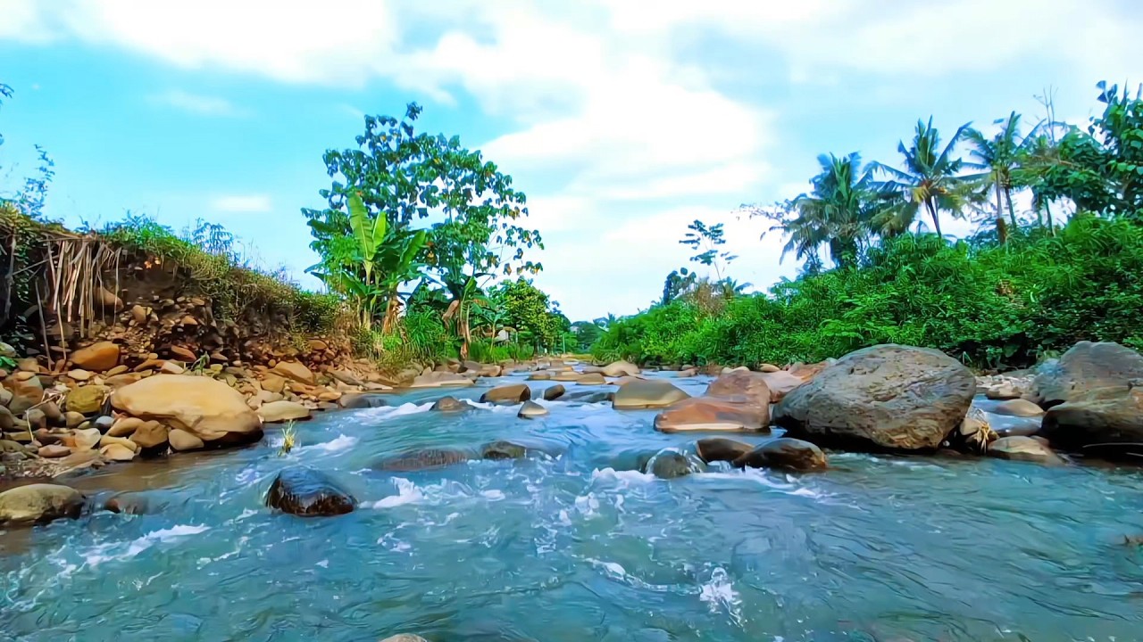 Forest River Sounds for Sleep Healing