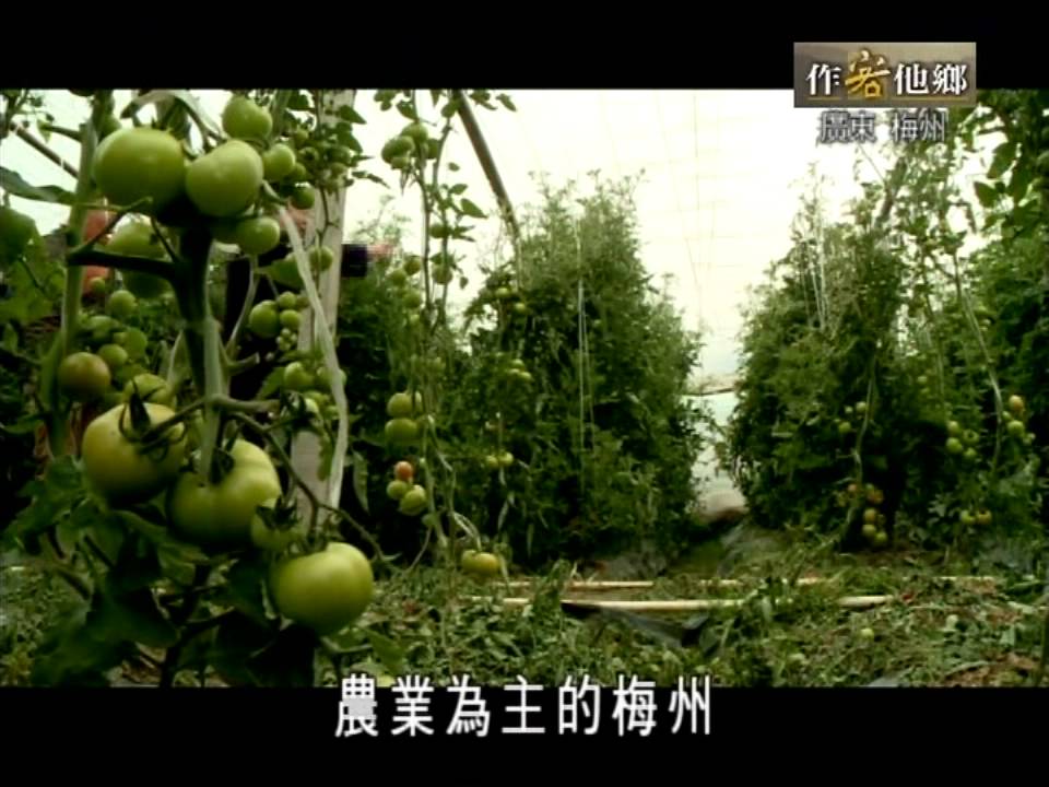 作客他鄉 廣東 梅洲(1/4)