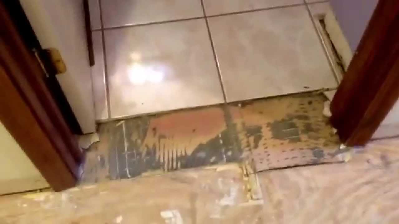 How to remodel. Respect your customer. Teppo Interiors; Westlake interior removal stage 2