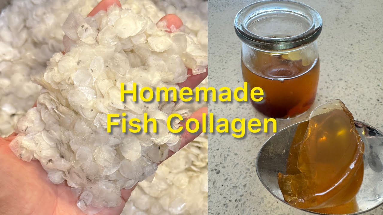 Homemade Organic Fish Collagen Jelly | 自制有机鱼胶原蛋白