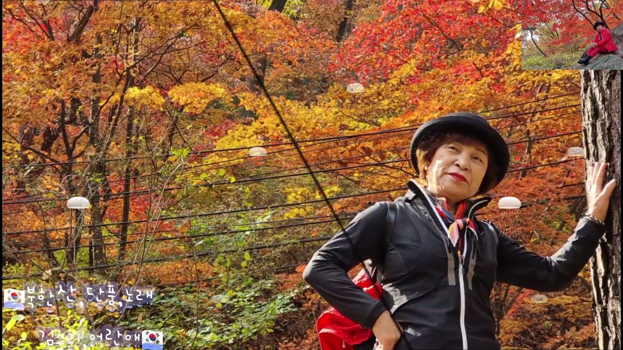 🇰🇷가수;김스리;어란애🎷원곡;정의송🎺 북북한산,단풍,~🎸 🎼 🎵 ~🇰🇷