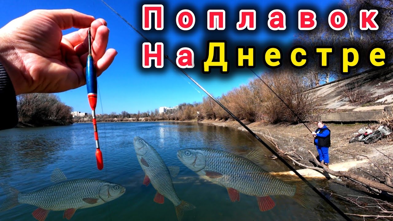 Ловля на поплавок. Первый выход на Днестре весной!