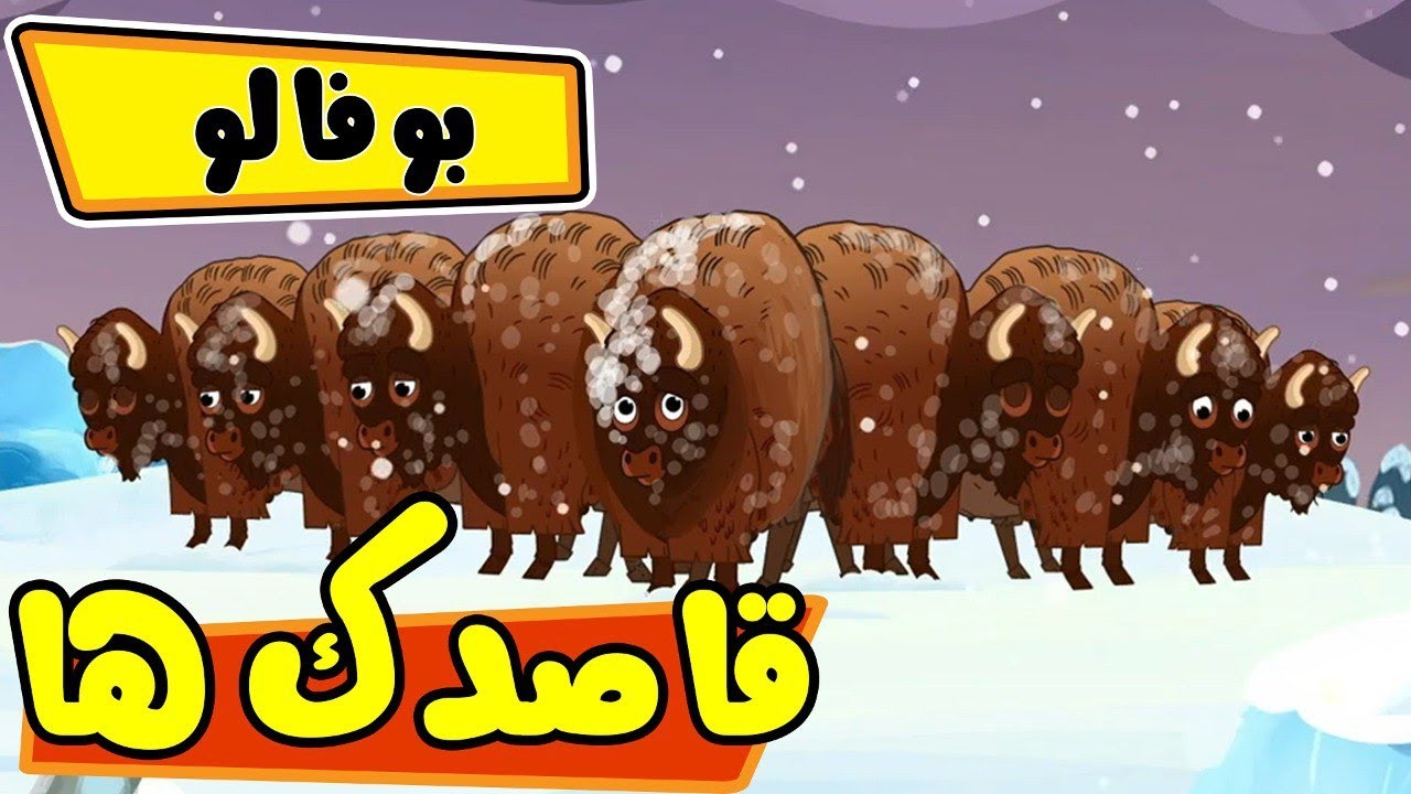 قاصدک ها - بوفالو | Ghasedak ha