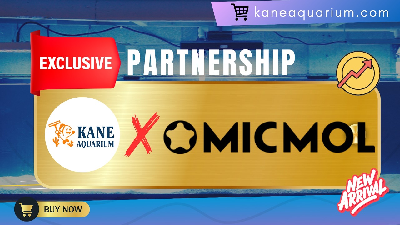 New Lighting Arrival: Kane Aquarium X Micmol