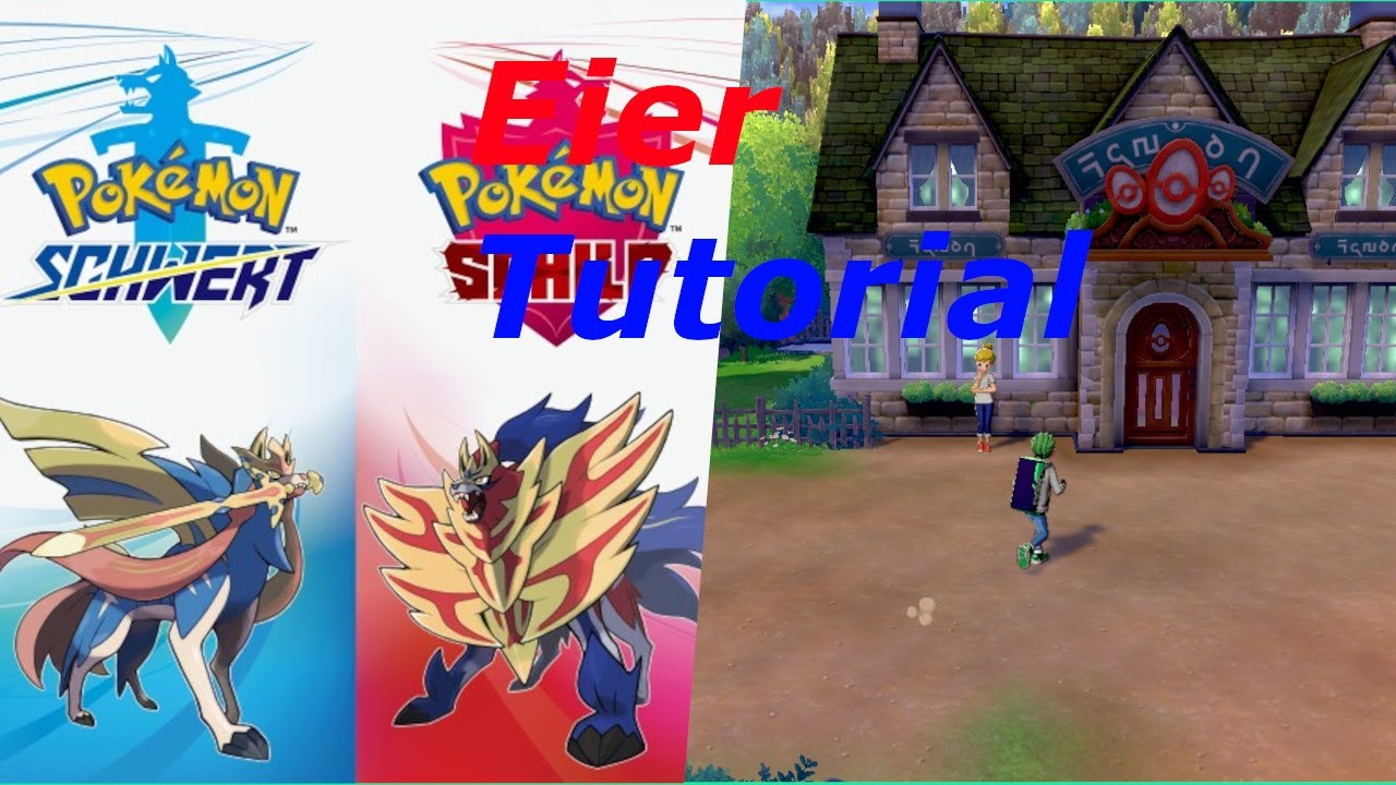 pokemon schild und schwert eier tutorial