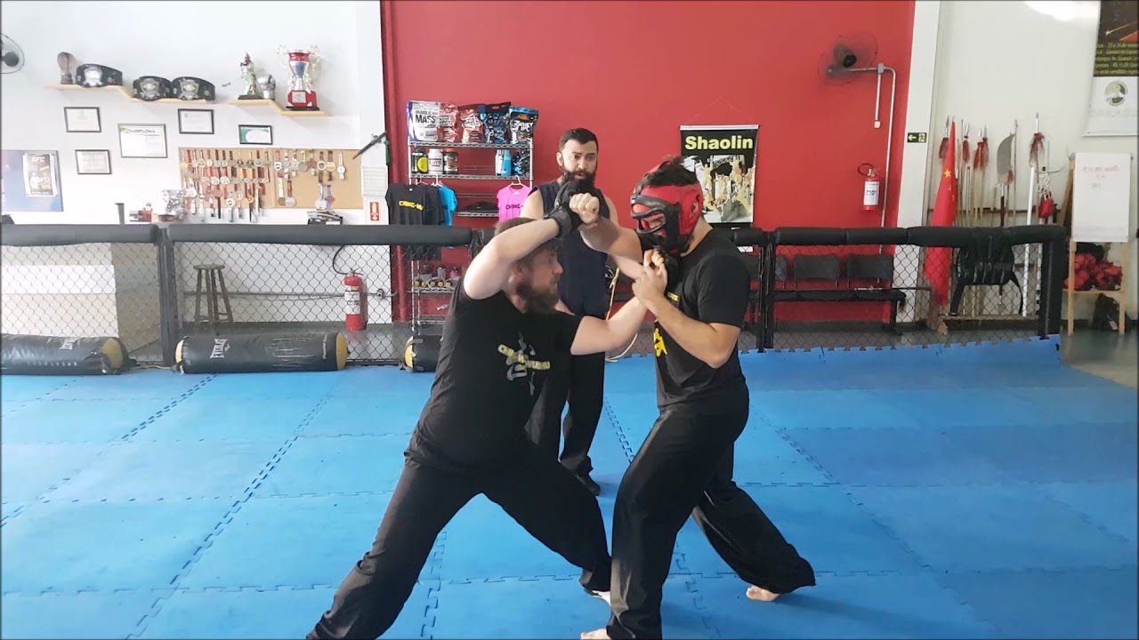 Shaolin do Norte: Um Estilo Completo.