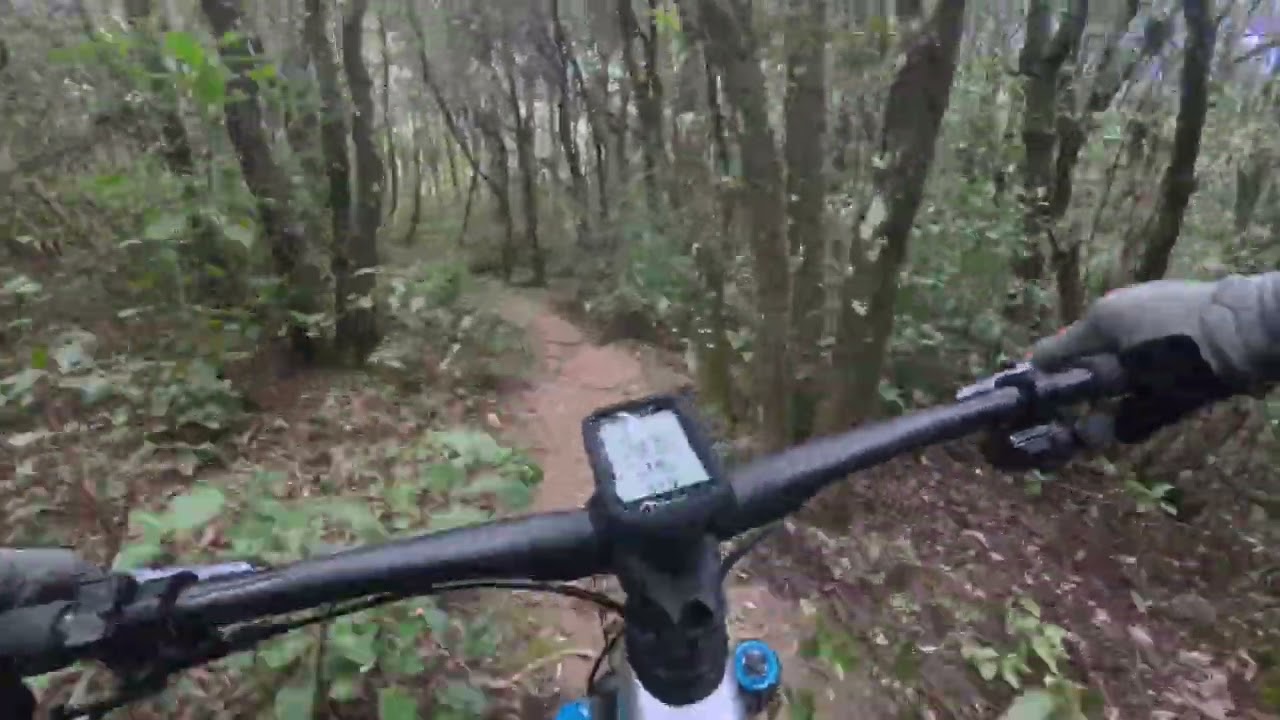 Supermegawarmup PGV Park con Orbea Wild M-Team 2026