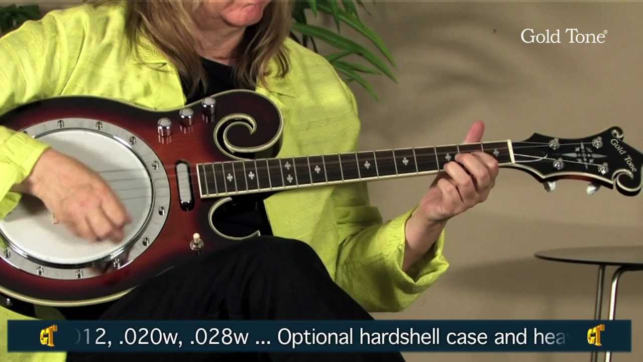 Gold Tone EBM-4 Electric Tenor Banjo