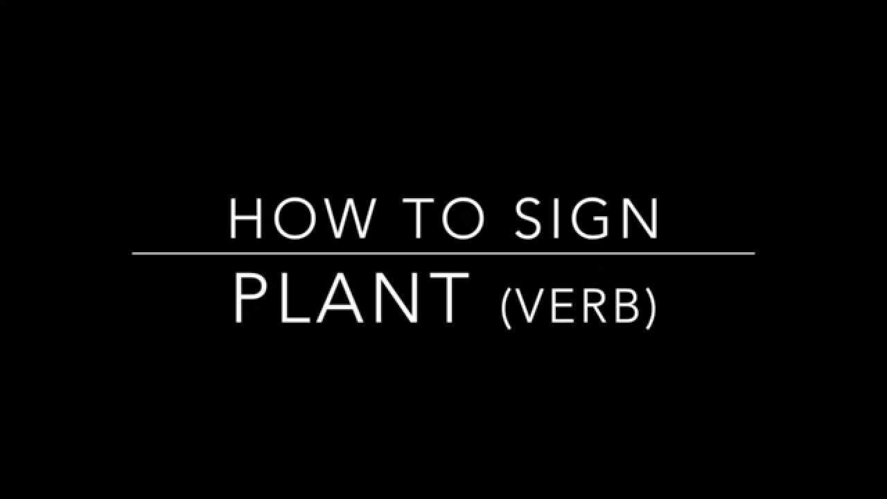 Learn How to Sign the Word Plant (Verb)