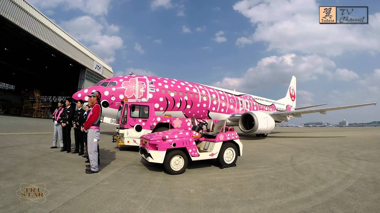 JTA 特別塗装機「ジンベエジェット」2号機 さくらジンベエ就航 那覇空港 News 2014/1/5
