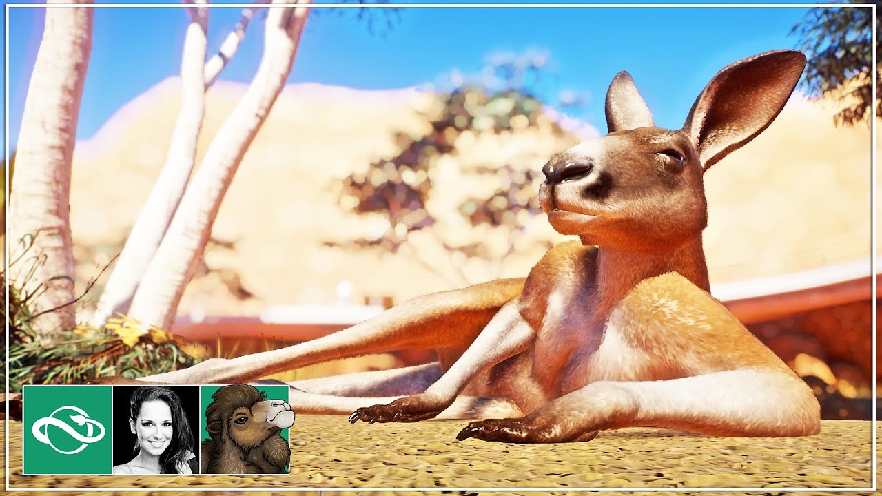 🐫 Red Kangaroo Valley | Desert Franchise Mode | Planet Zoo |