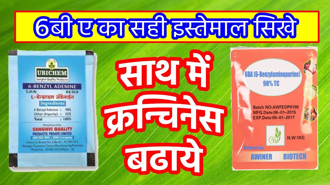 6Ba/सिक्स बी ए का सही इस्तेमाल सिखे