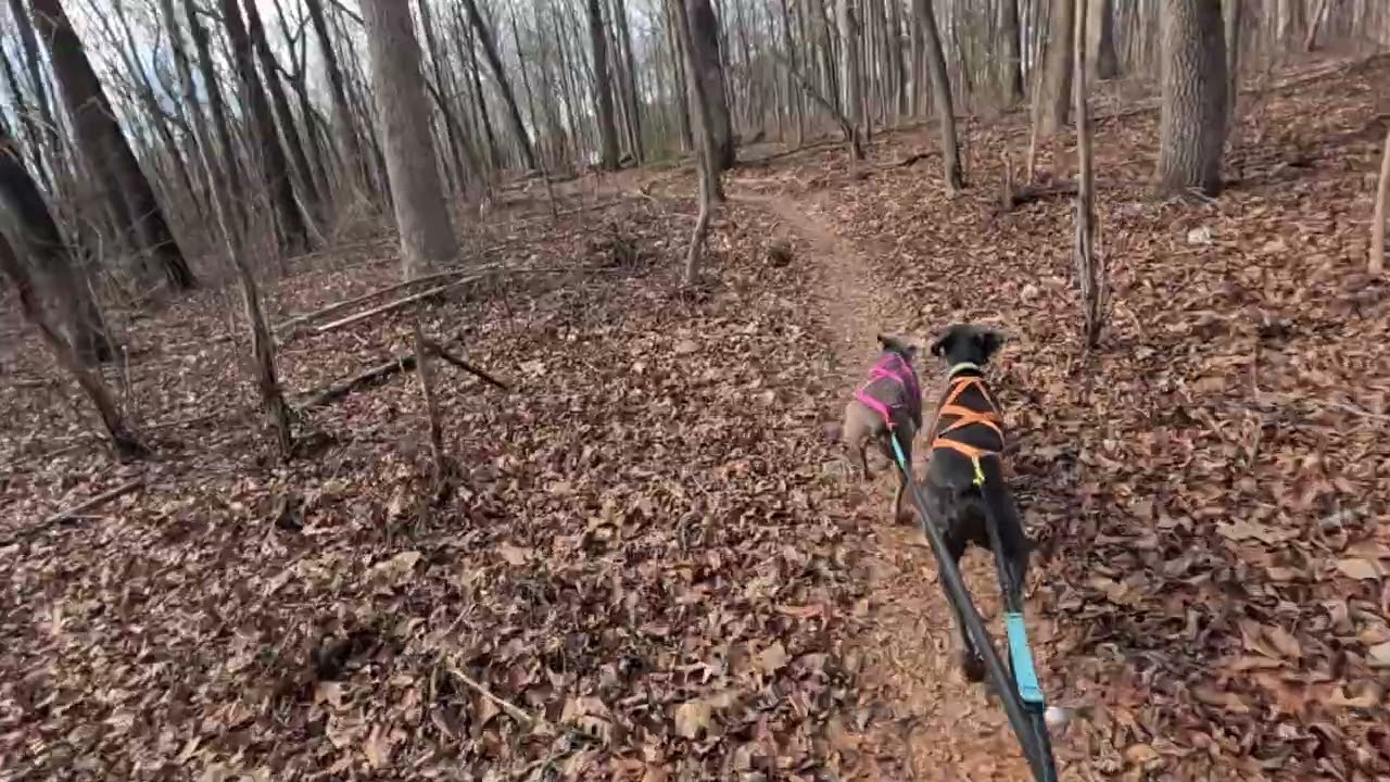 North Boundary Greenway and Boulder Trail - Loop Run