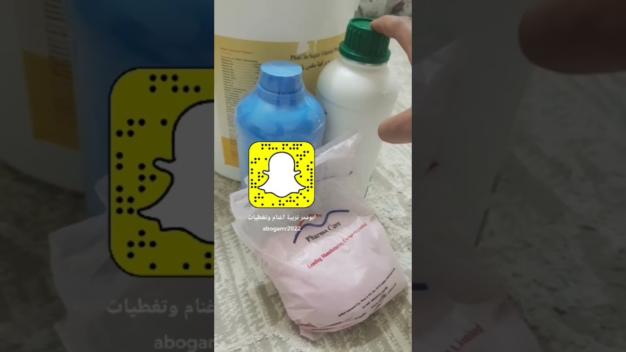 الاداره الناجحه للمربي 3 .. تجهيز الاغنام للتزاوج