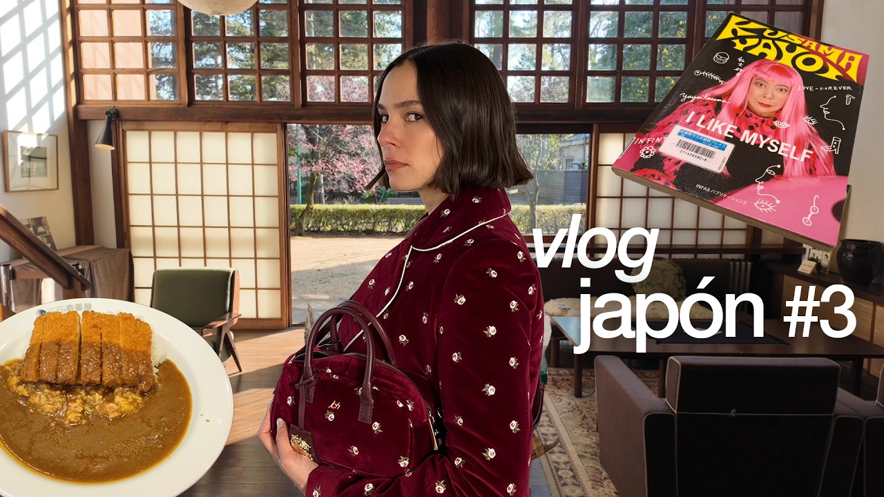 Cómo son las casas japonesas por dentro (el mejor plan para hacer en Tokio,   compras y unboxing)