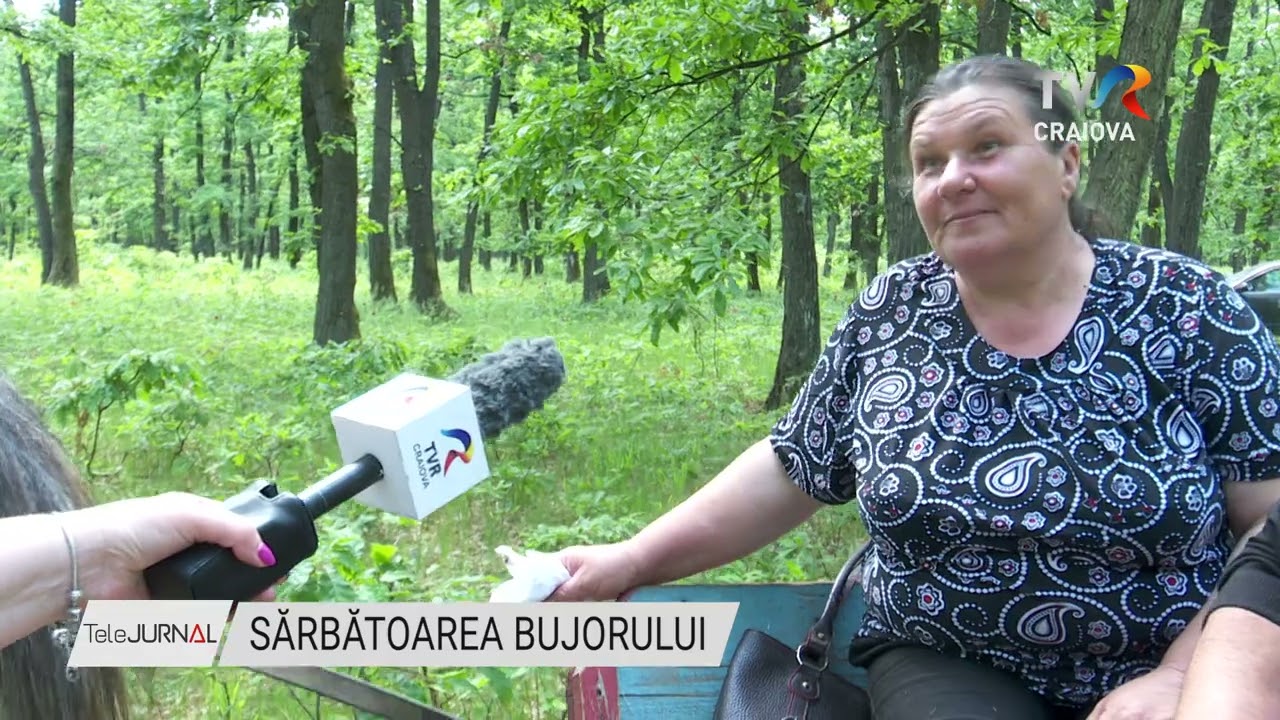 SĂRBĂTOAREA BUJORULUI