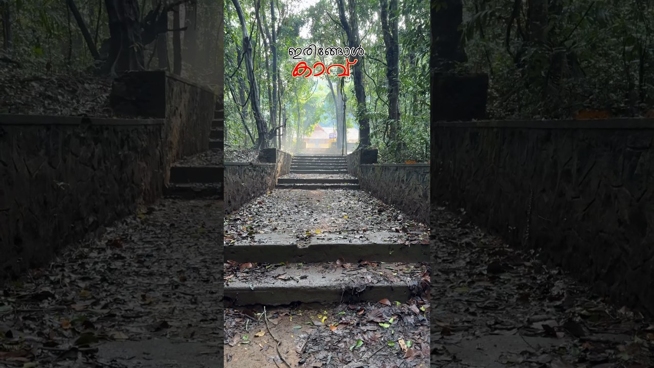 ഇരിങ്ങോൾ കാവ് - കേരളത്തിലെ  ഏറ്റവും വലിയ കാവ്! സിനിമക്കാരുടെ പ്രിയപ്പെട്ട ലൊക്കേഷൻ! #shorts #explore