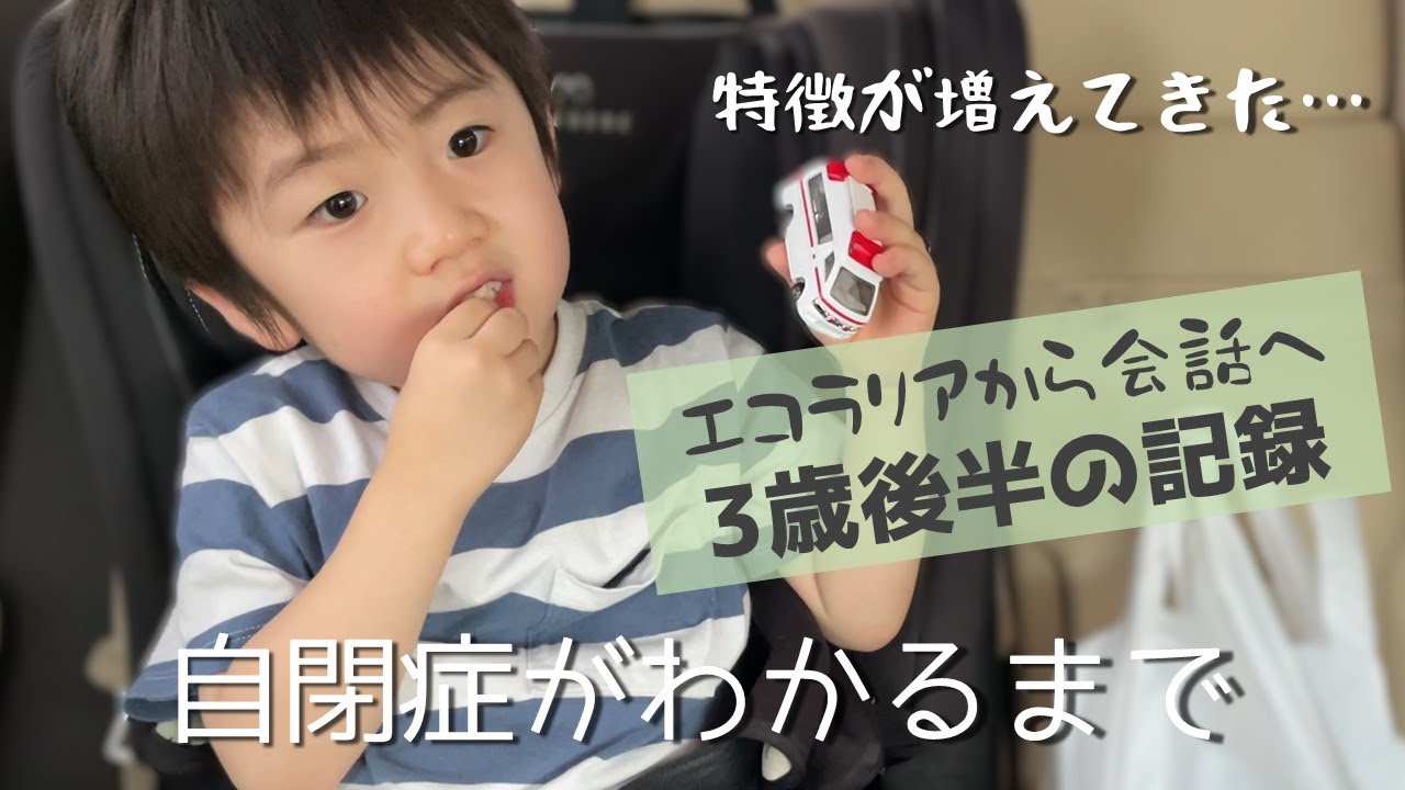 【自閉症がわかるまで】大きな成長の裏で特徴的な行動が増えた3歳の記録【後半】