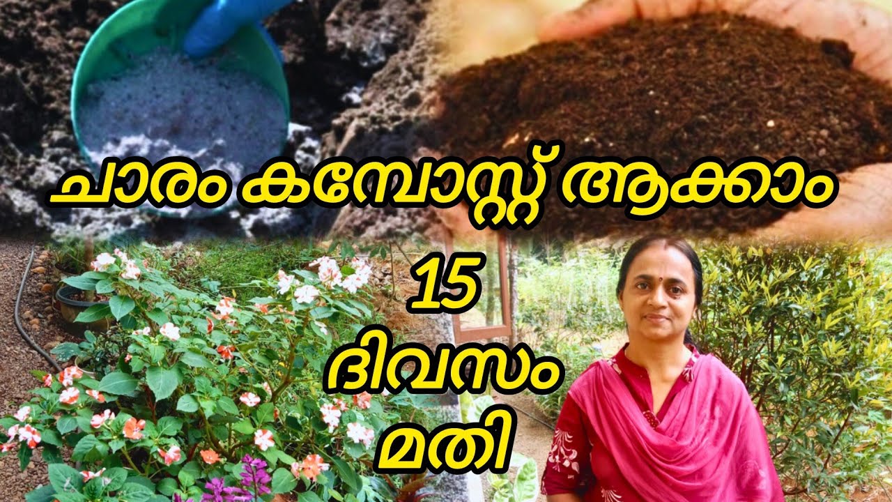 ചാരം കമ്പോസ്റ്റ് ആക്കാം വെറും 15 ദിവസം മതി | മികച്ച ജൈവ വളം തയ്യാർ | DIY Fertilizer Malayalam 