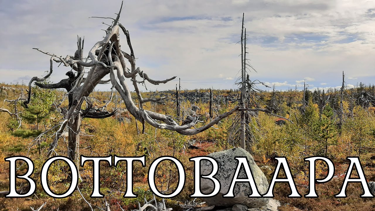 5. Нашли логово шаманов.