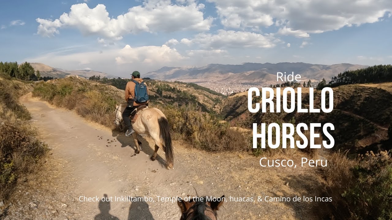 We ride Criollo Horses in Cusco, Peru