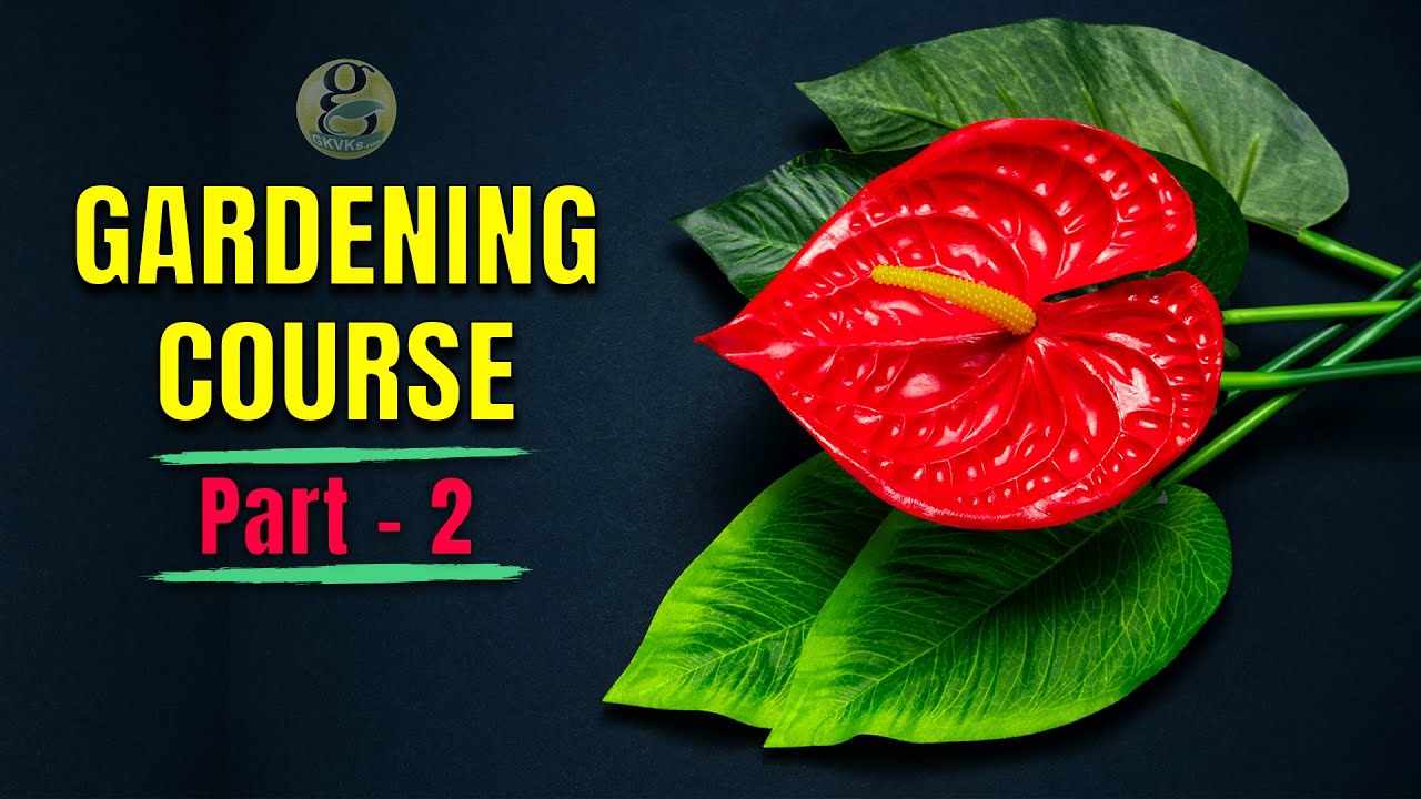 COMPLETE GARDENING COURSE &ndash; PART 2 | INDOOR GARDENING + LEARN ADVANCED GARDENING