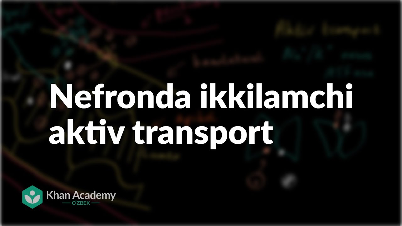 Nefronda ikkilamchi aktiv transport | Odam biologiyasi | Biologiya