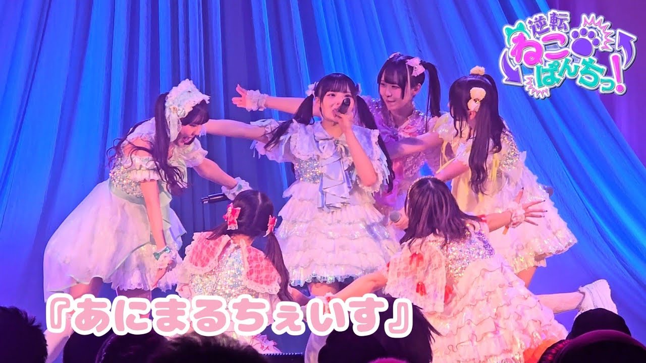 逆転ねこぱんちっ！『MC→ あにまるちぇいす』KYUN-FES SP 🗓️2026.01.28 📍Zepp Nagoya