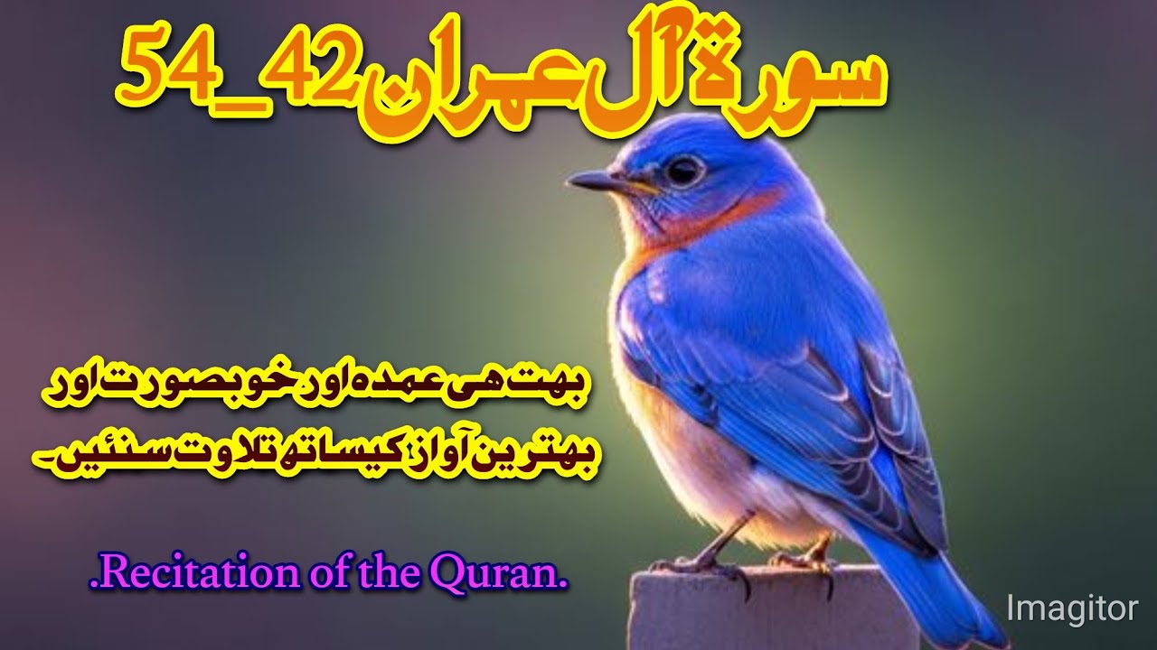 Miracles of Maryam (AS) & Prophet Isa (AS) A Divine Story of Faith & Power | Quran 3:42-54recitation
