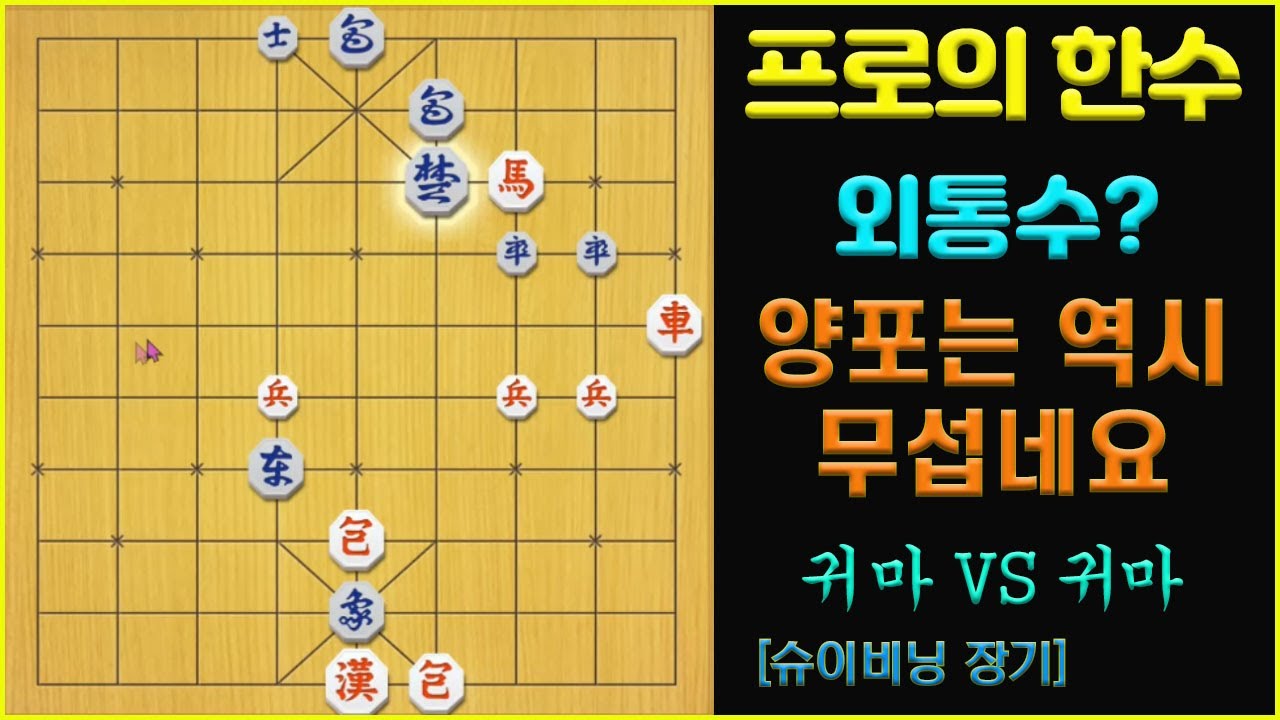 [프로의 한수] 양포를 활용한 끝내기 수순       (슈이비닝 장기)