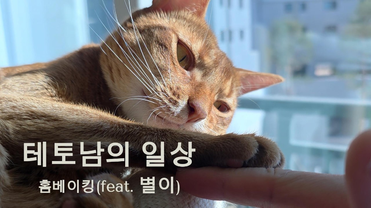 테토남의 일상 - 홈베이킹, 그리고 다도 (feat. 별이)