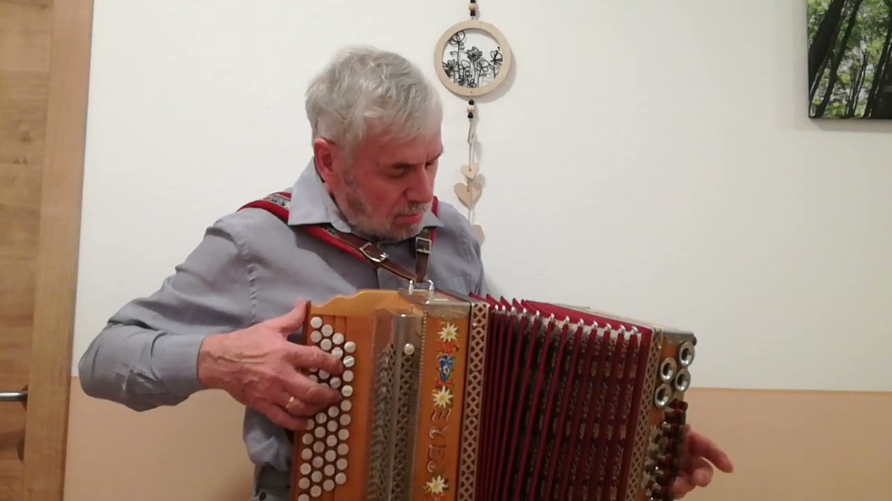 Es war ein Edelweiß- Steirische Harmonika