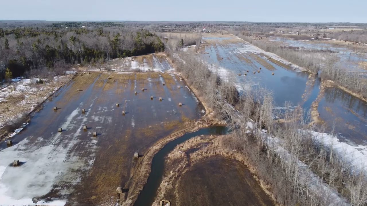 The K&P Trail at Burbrook Road in Kingston #spring #dji #waterfalls #dronevideo