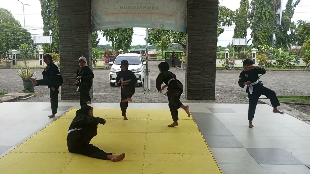 Latihan seni beladiri silat IPSI