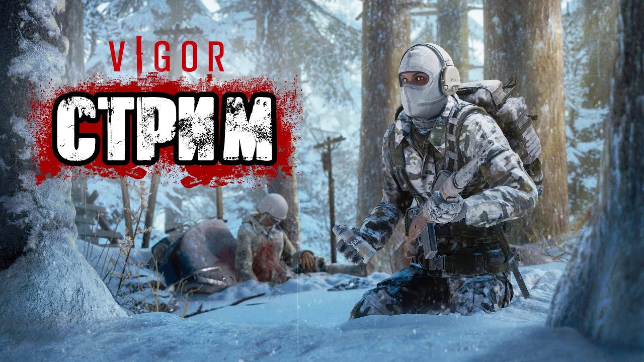 VIGOR | ПЕРВЫЙ ВЗГЛЯД, ВЫЖИВАНИЕ В ПОСТЪЯДЕРНОМ МИРЕ!