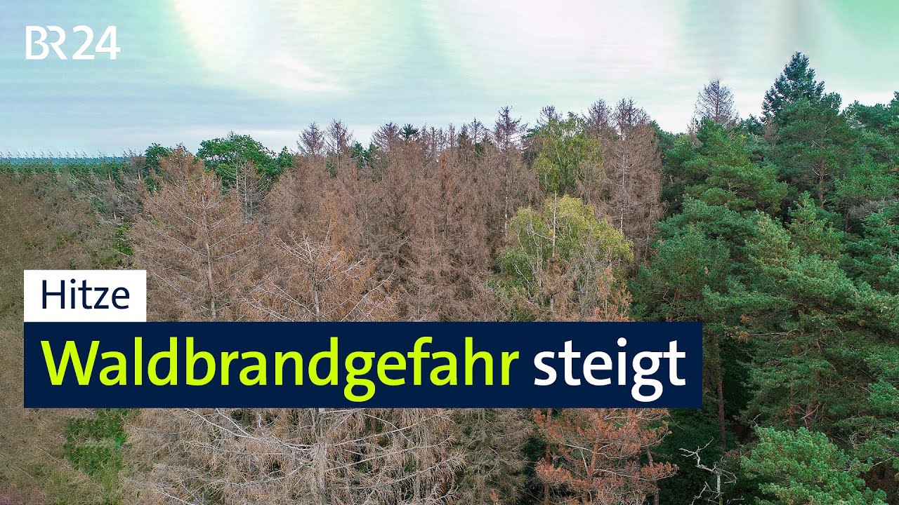 Hitze: Waldbrandgefahr steigt - Luftbeobachter sind unterwegs | BR24