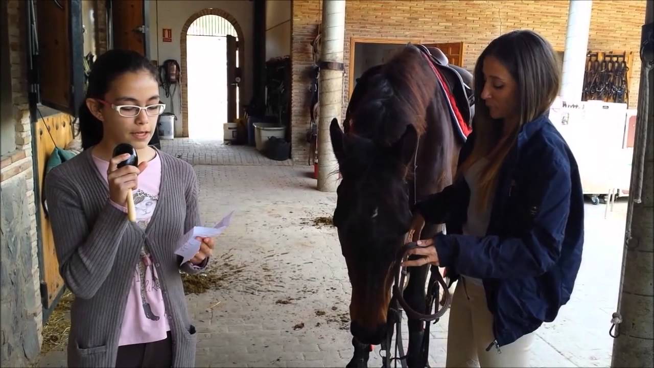 CEIP Profesor Enrique Tierno - Un día en Lo Pertiguero
