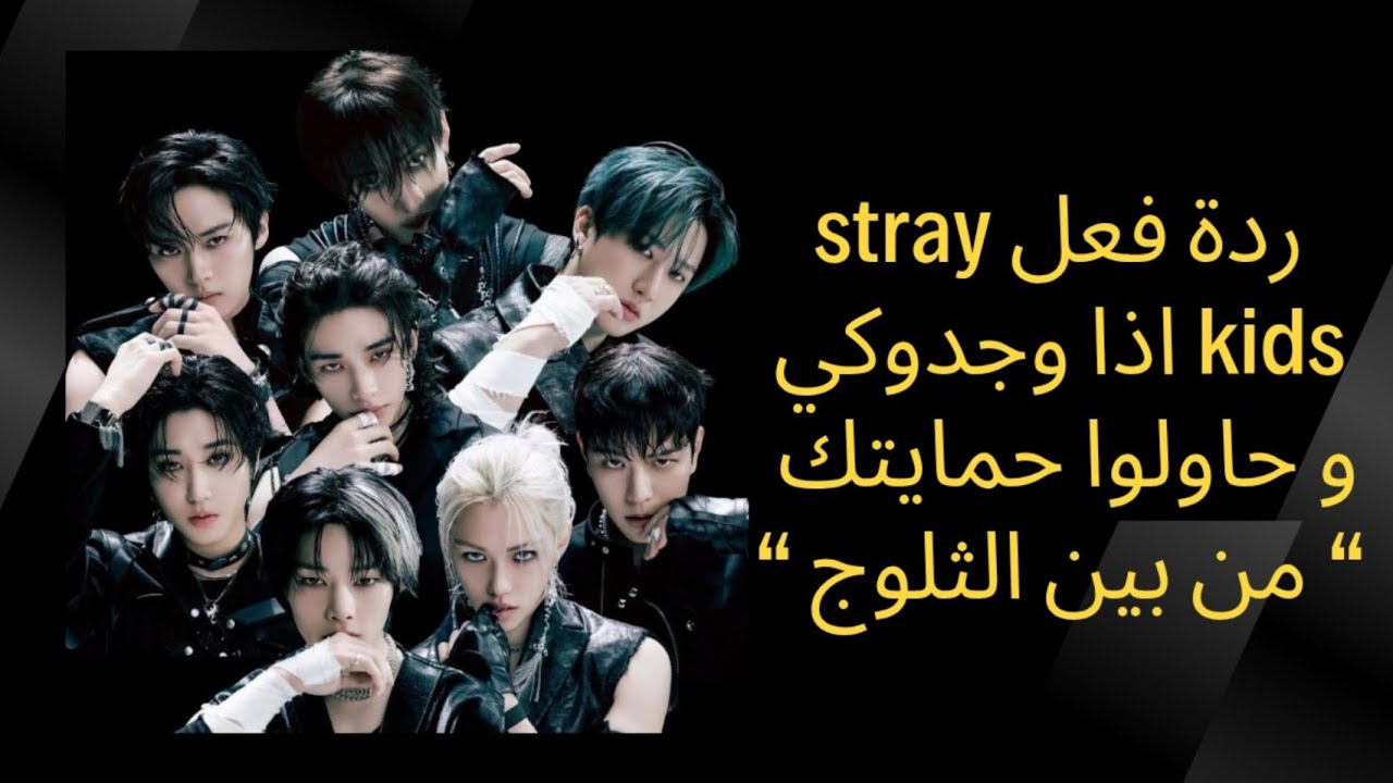 ردة فعل stray kids اذا وجدوكي مجروحة و حاولوا حمايتك . رواية 