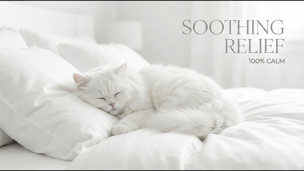 Calming Music for Cats 🐈 Soothing Sleep Sounds for Anxiety, Stress Relief & Healing Naps