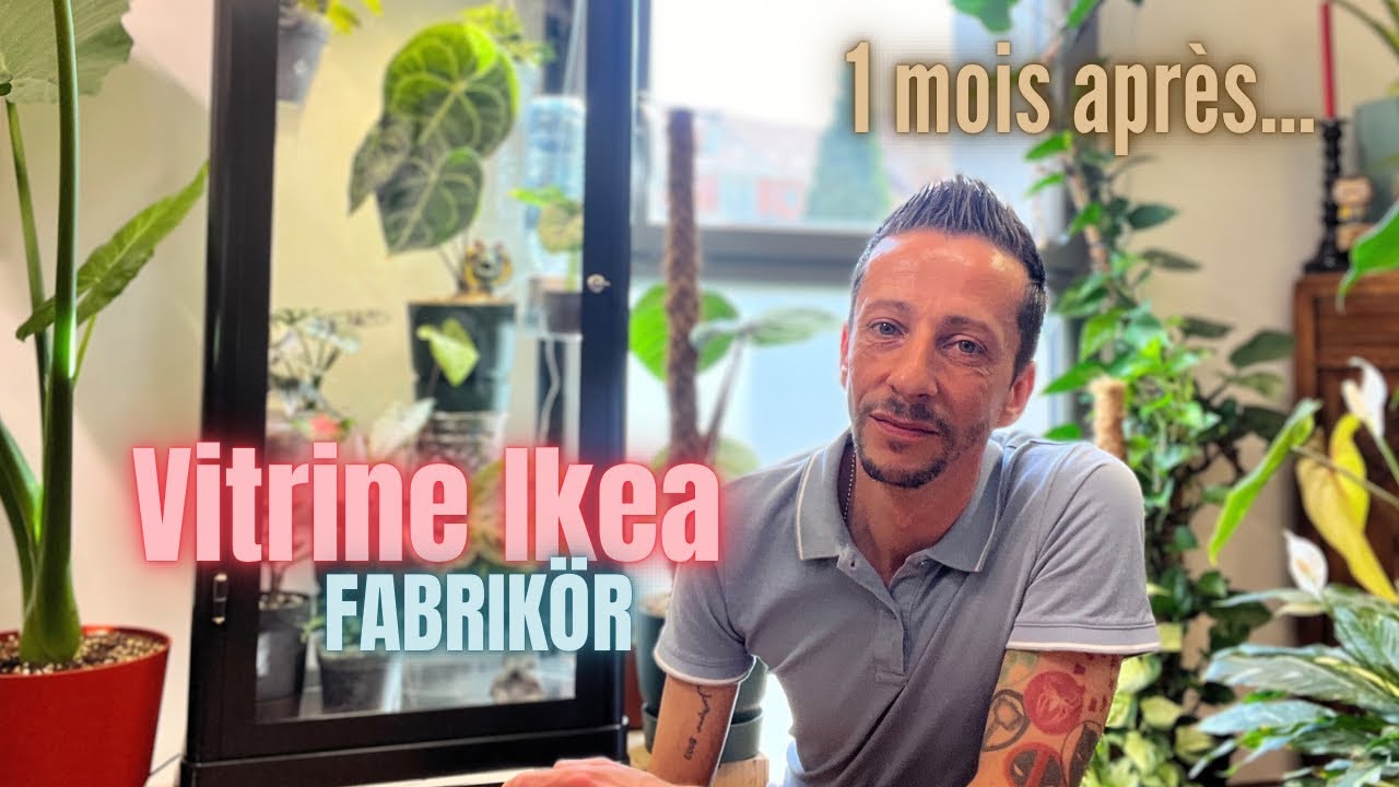 #21-Vitrine Ikea [ Mise à Jour ] Je fais le point 1 Mois après 🌱 @IKEA #plantaddict