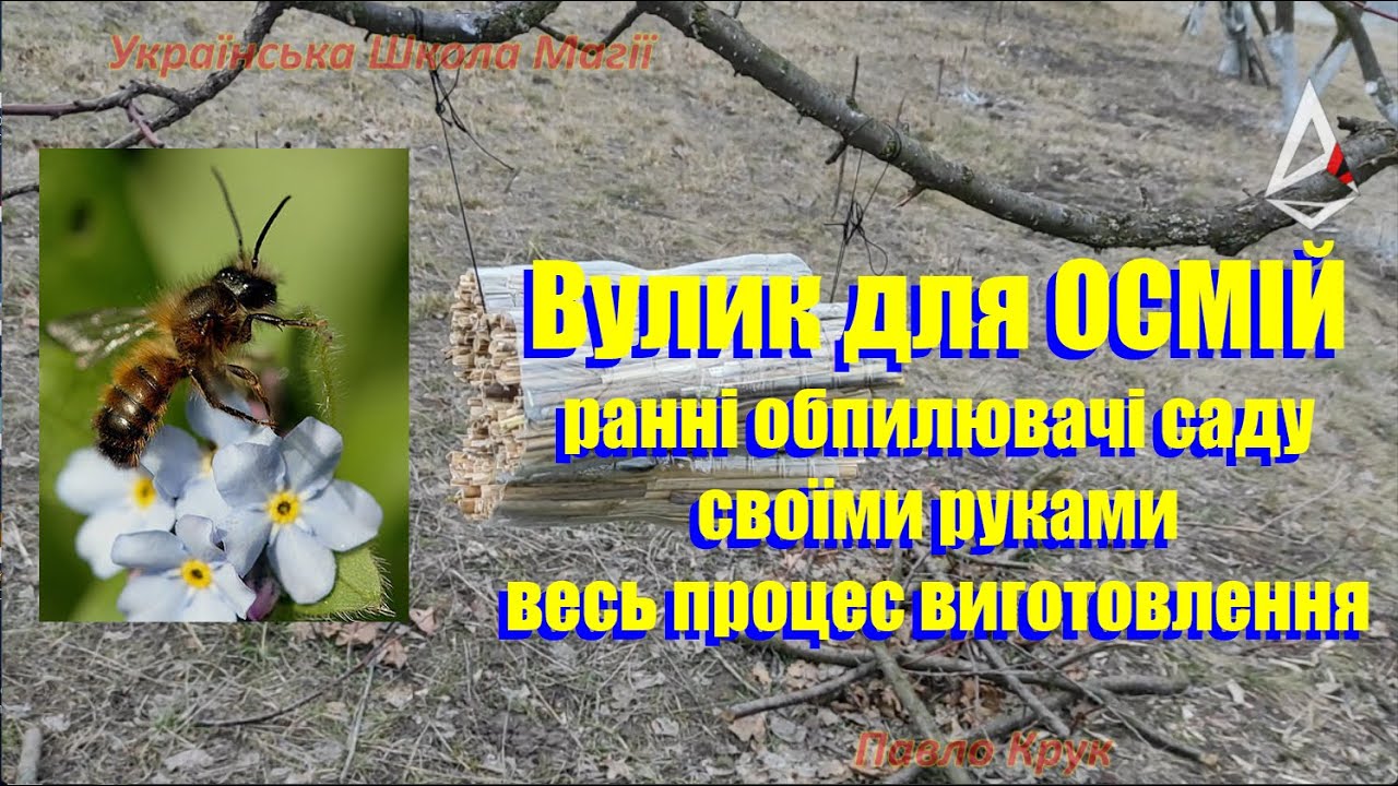 Вулик для осмій.Осмії ранні обпилювачі саду своїми руками, весь процес виготовлення з очерету.