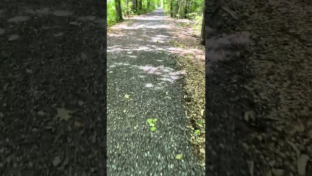 Walking and sneezing in the woods