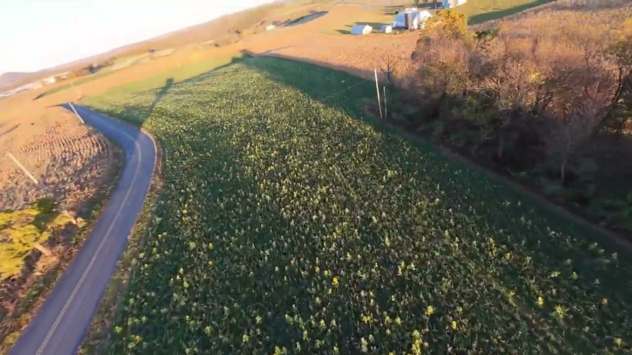 DJI Avata 2 Power Loop 4k 60fps