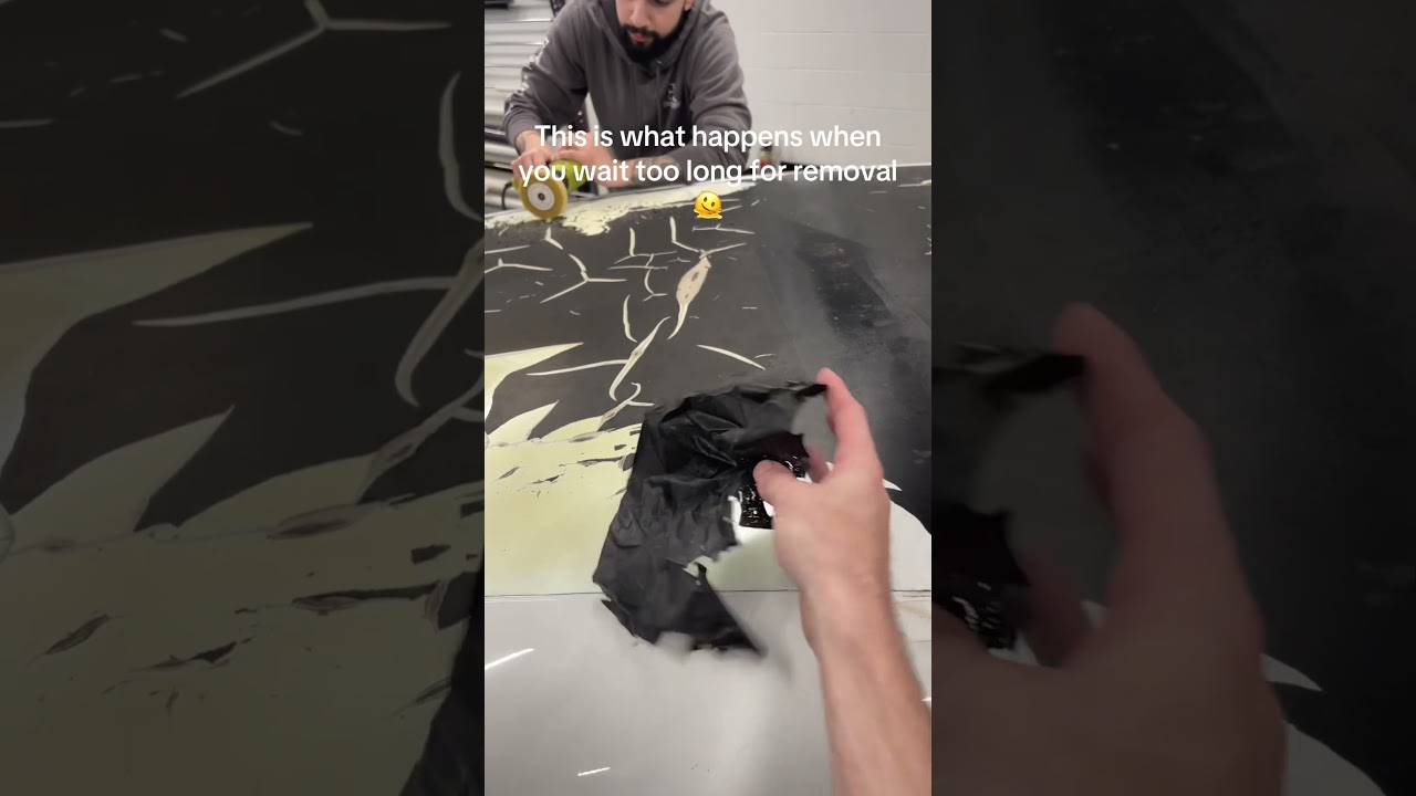 Nightmare roof wrap removal🫠 #vinylwrap #wrapshop #cartok