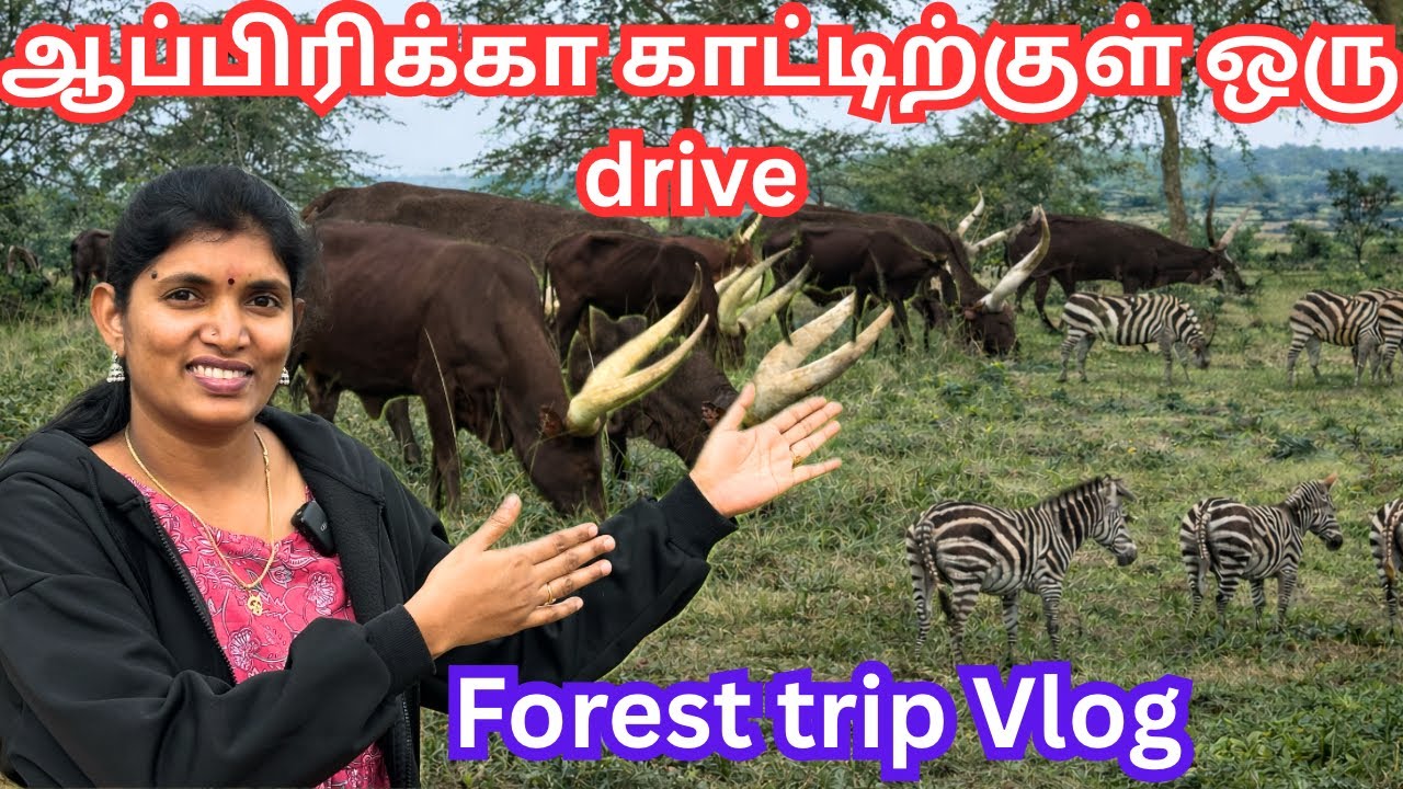 🦓💥ஆப்பிரிக்காவில் காட்டுக்குள் ஒரு ட்ரிப்போகலாம்|Lake MburoNationalpark Mbarara UgandaAfrica|Masaka 