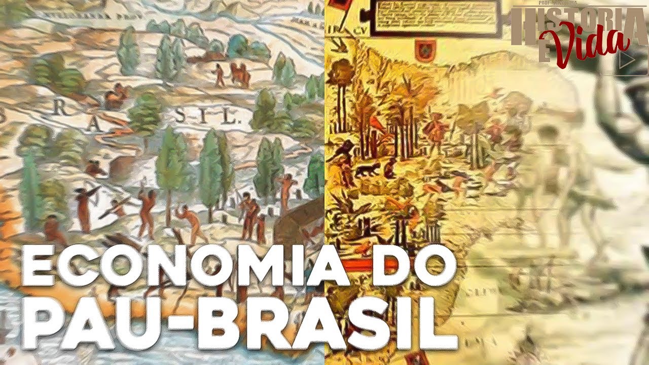 ECONOMIA DO PAU-BRASIL | Brasil Colônia | Aula de história para o ENEM, vestibulares e concursos.
