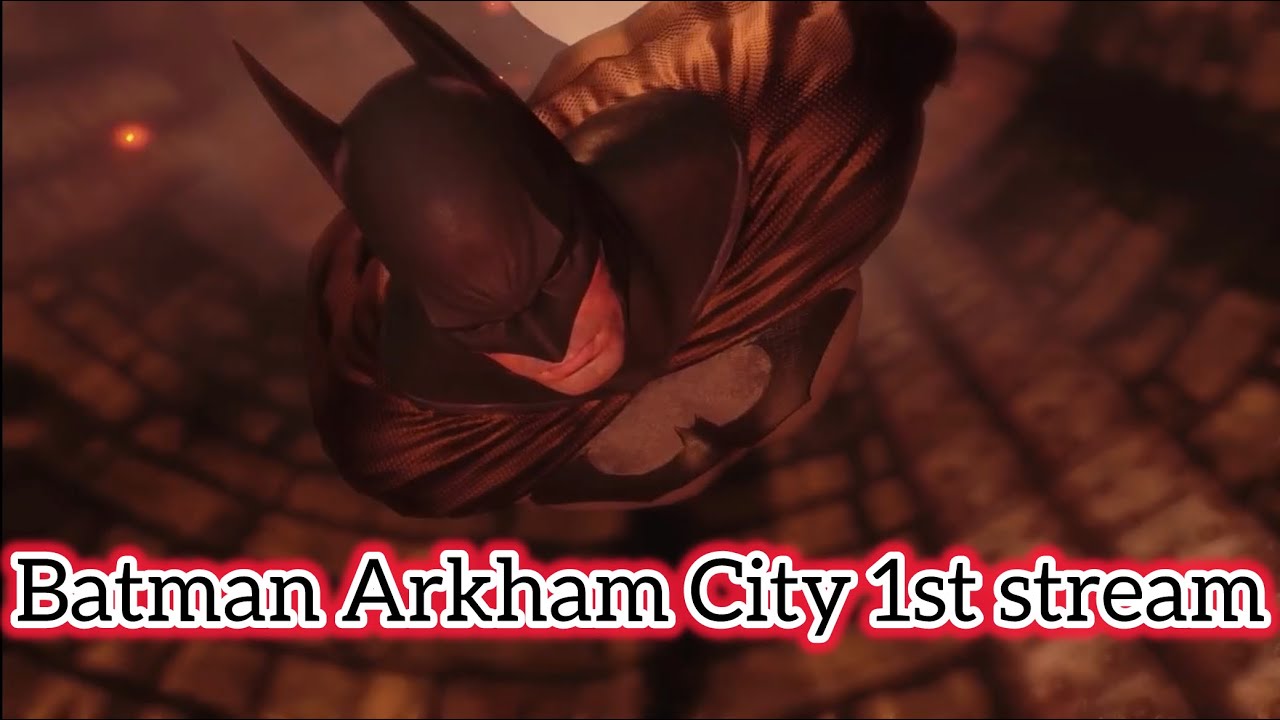 Batman Arkham City stream 1