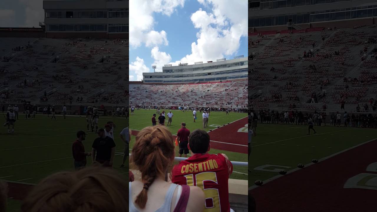Go Noles!