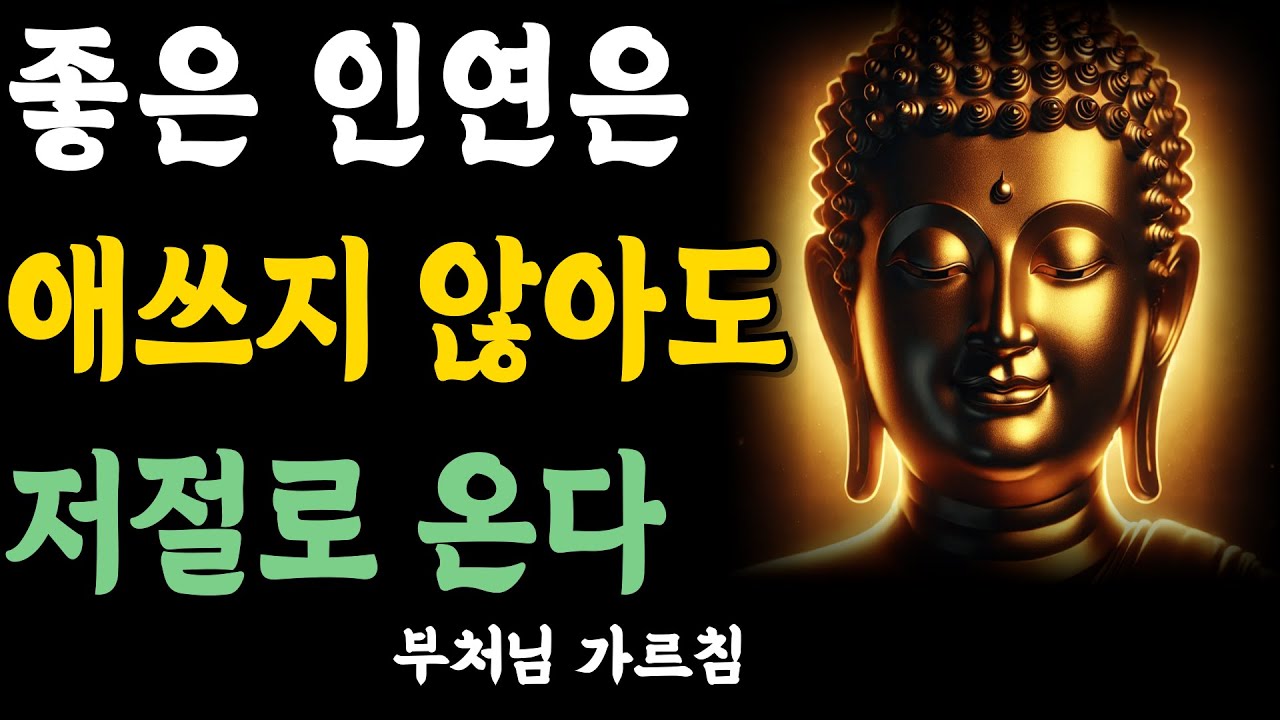 좋은 인연은 노력하지 않아도 온다 | 억지로 맺지 마라 | 자면서 듣는 부처님 말씀 | 석가모니 | 불교 명언 | 불교 오디오북